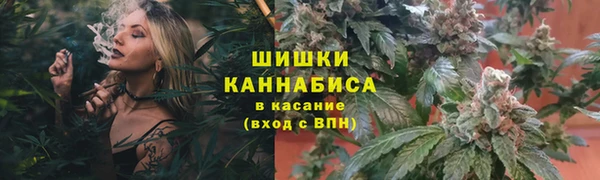 индика Бугульма
