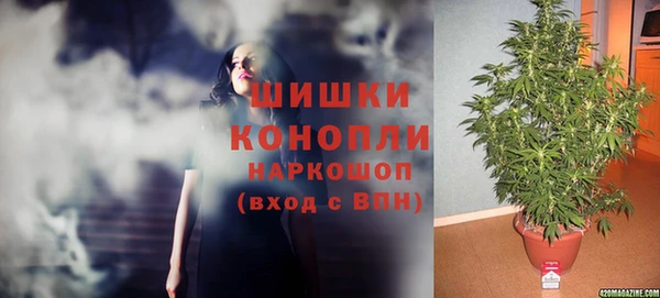 гидра Богородск