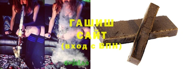 гидра Богородск