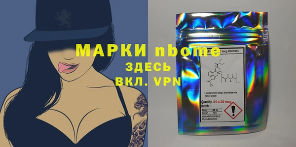индика Бугульма