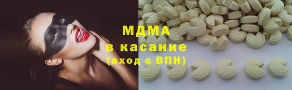 гидра Богородск
