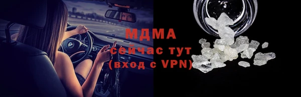 дмт Бородино