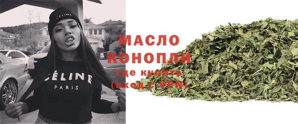 дживик Богородицк