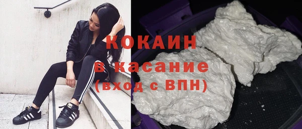 гидра Богородск
