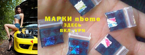 дмт Бородино