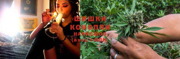гидра Богородск